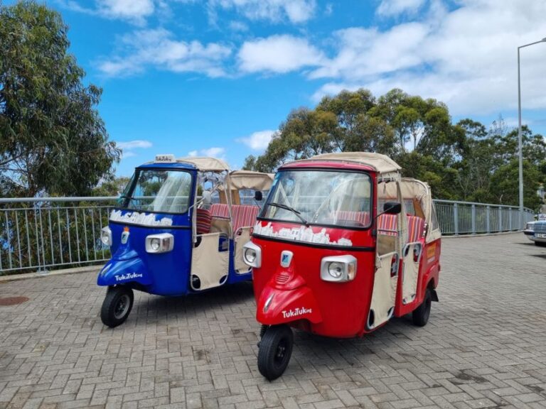 From Funchal: Tuk Tuk Tour To Camara De Lobos And Cabo Girao Tour Overview