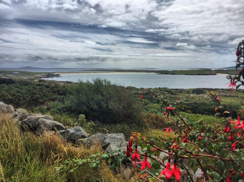 From Galway: Connemara and Kylemore Abbey Day Tour - Tour Overview