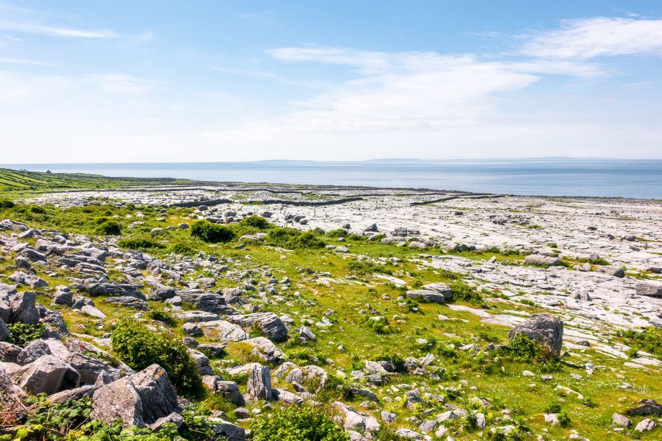 From Galway: Full-Day Cliffs of Moher and Burren Tour - Tour Overview