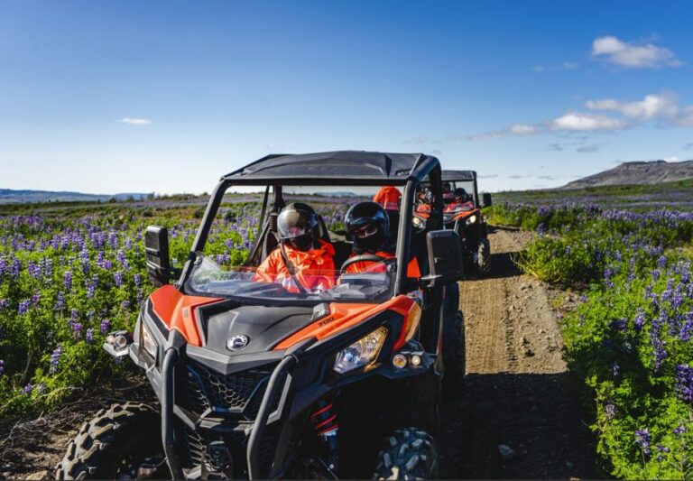 From Geysir: Geysir Buggy Adventure Activity Details