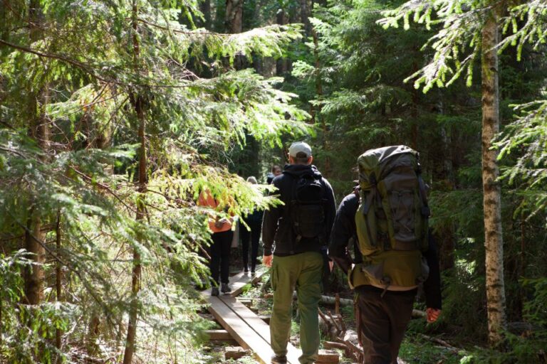 From Helsinki: Mushroom Hunting Tour In A National Park What To Expect