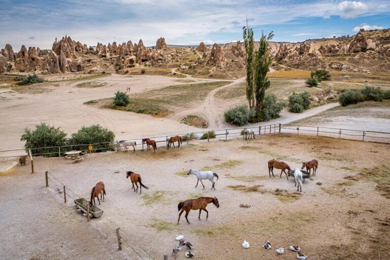 From Istanbul: Cappadocia, Ephesus, & Pamukkale Private Tour Fly From Istanbul To Cappadocia