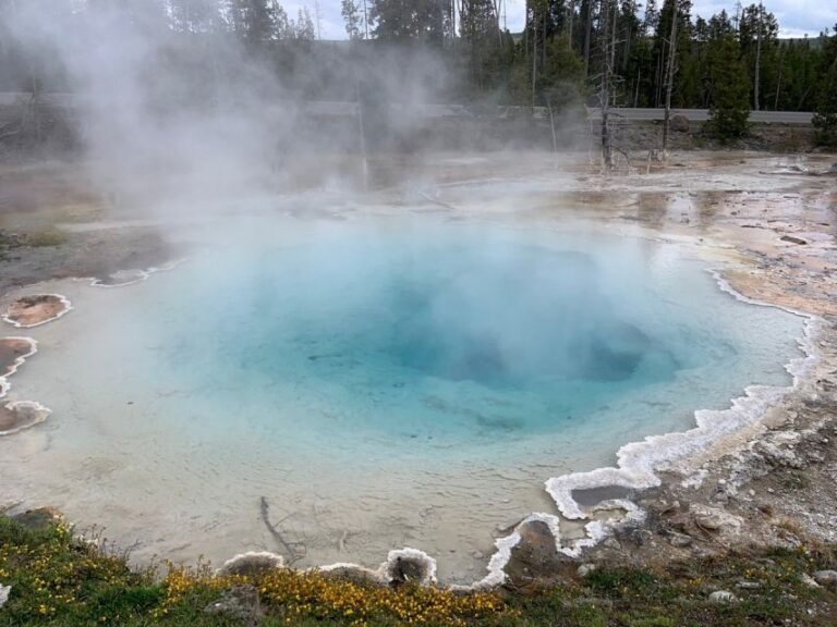 From Jackson: Yellowstone National Park Day Trip With Lunch Exploring Grand Teton National Park