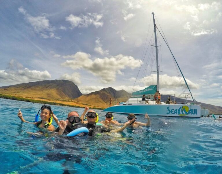 From Kaanapali: Afternoon West Maui Snorkeling & Sea Turtles Tour Overview