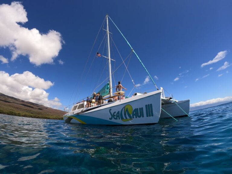 From Kaanapali Beach: West Maui Half Day Snorkel Adventure Activity Overview