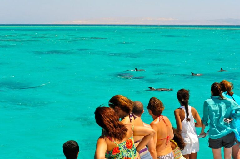 From Key West: Dolphin Watching Tour With Lunch & Drinks Tour Overview And Highlights