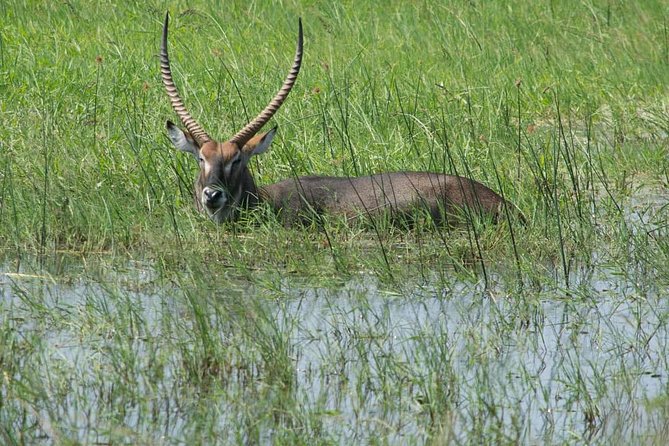 From Kigali: 12 Hour Custom Day Trip For Game Drive In Akagera Np Inclusions