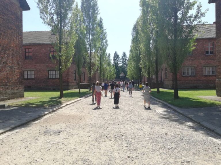 From Krakow: Auschwitz Birkenau And Self Guided Day Tour Transportation And Itinerary