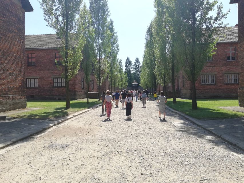 From Krakow: Auschwitz-Birkenau and Self-Guided Day Tour - Transportation and Itinerary