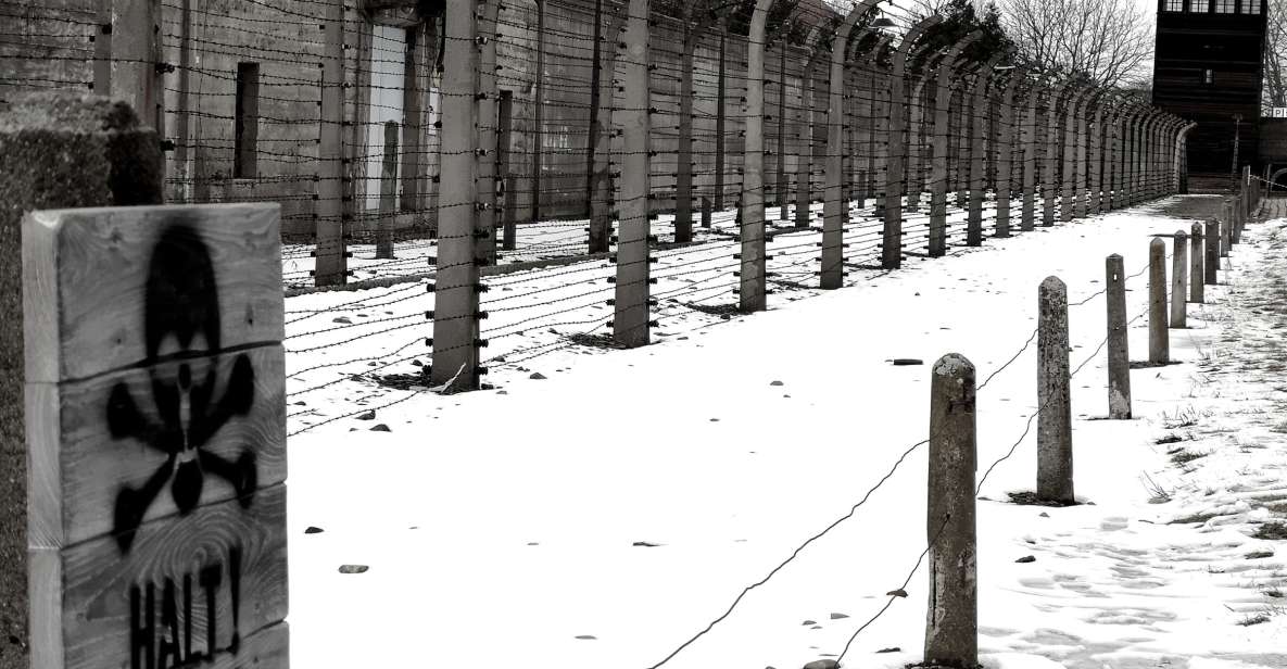 From Krakow: Auschwitz-Birkenau and Wieliczka Salt Mine Tour - Tour Overview and Pricing