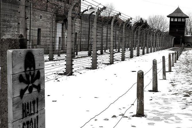 From Krakow: Auschwitz Birkenau Regular Tour Private Chauffeur Inclusions