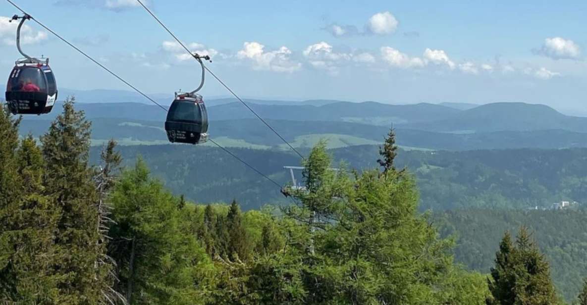 From Krakow: Krynica Zdrój & Mountain Tour With Rooftop Walk - Tour Overview