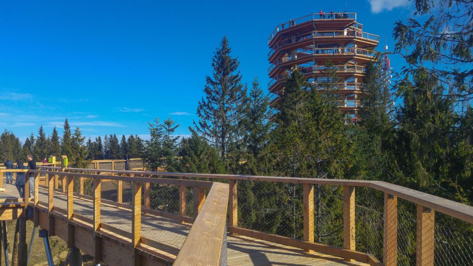 From Krakow: Slovakia Treetop Walk, Zakopane & Thermal Spa - Trip Overview and Pricing