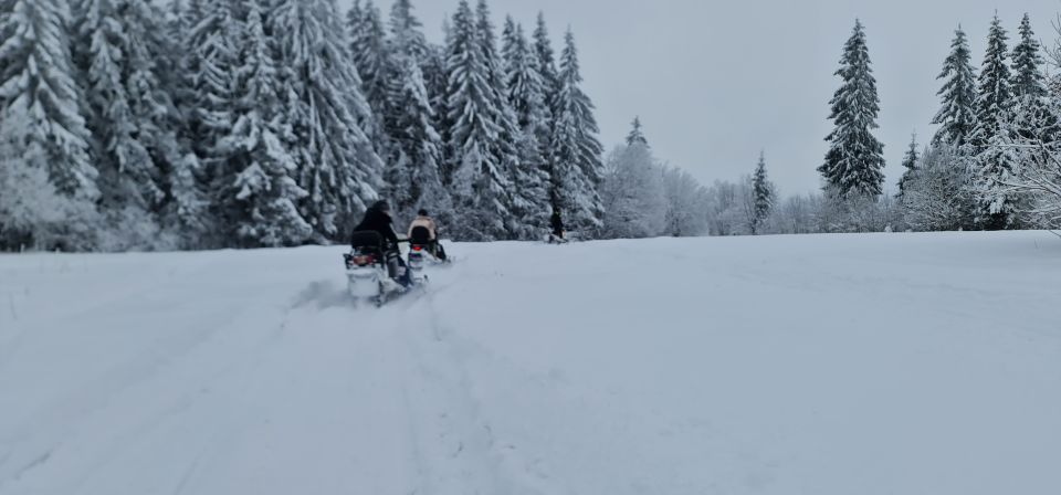 From Krakow: Snowmobile & Thermal Baths Zakopane Tour - Tour Overview and Pricing