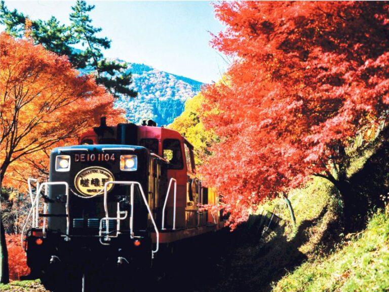 From Kyoto: Sagano Train Ride And Guided Kyoto Day Tour Tour Overview And Highlights