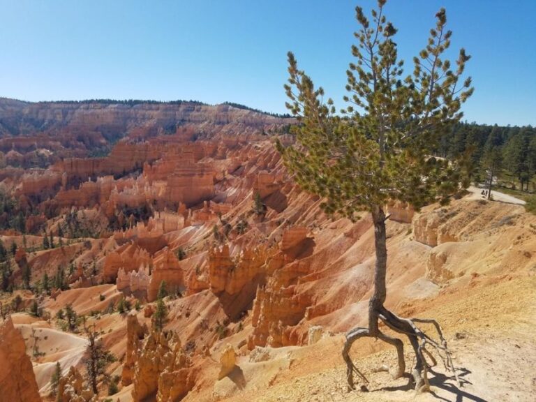 From Las Vegas: Zion And Bryce Canyon Guided Day Tour Tour Overview