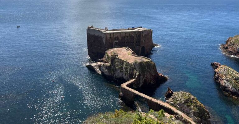 From Lisbon: Berlenga Grande Sightseeing Tour Overview Of Berlenga Grande