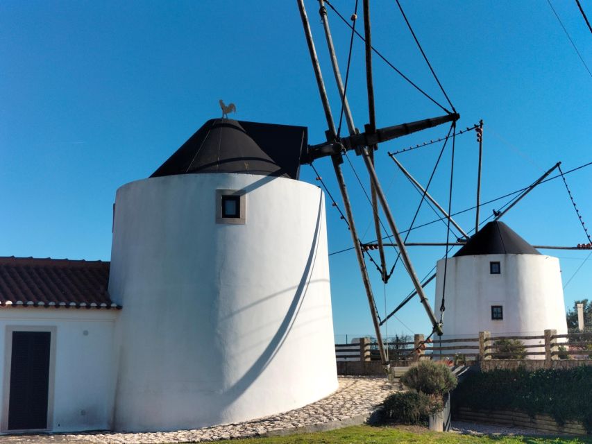 From Lisbon: Private Eco-Tour to Alcobaça, Nazaré & Óbidos - Tour Overview