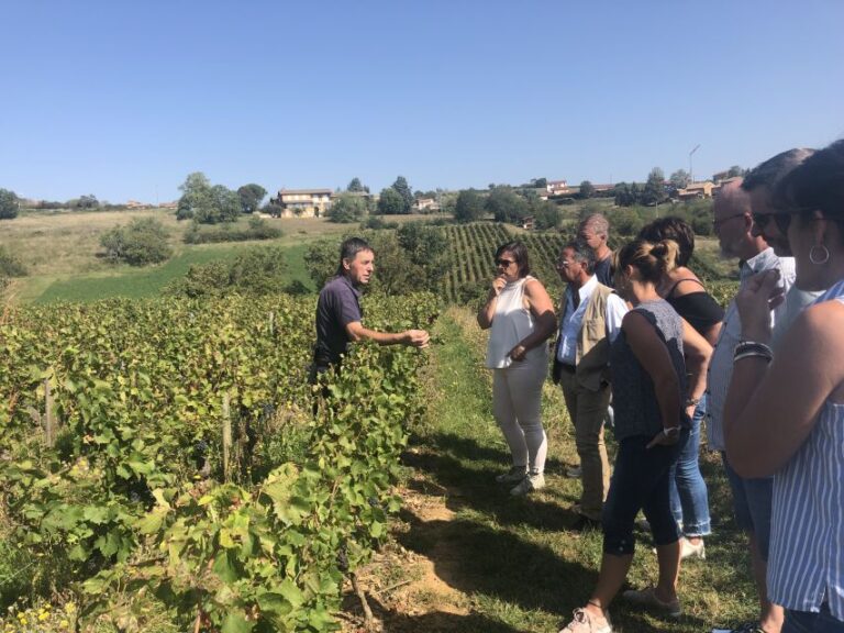 From Lyon: Beaujolais Wine Tasting Day Tour Tour Overview