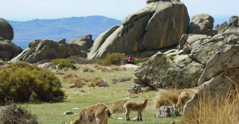 From Madrid: Sierra De Guadarrama Hiking Day Trip Activity Overview