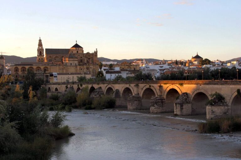 From Málaga: Córdoba Mosque Cathedral Guided Tour Tour Details