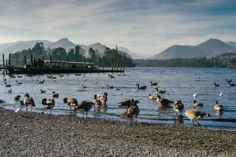 From Manchester: Lake District Tour Tour Overview