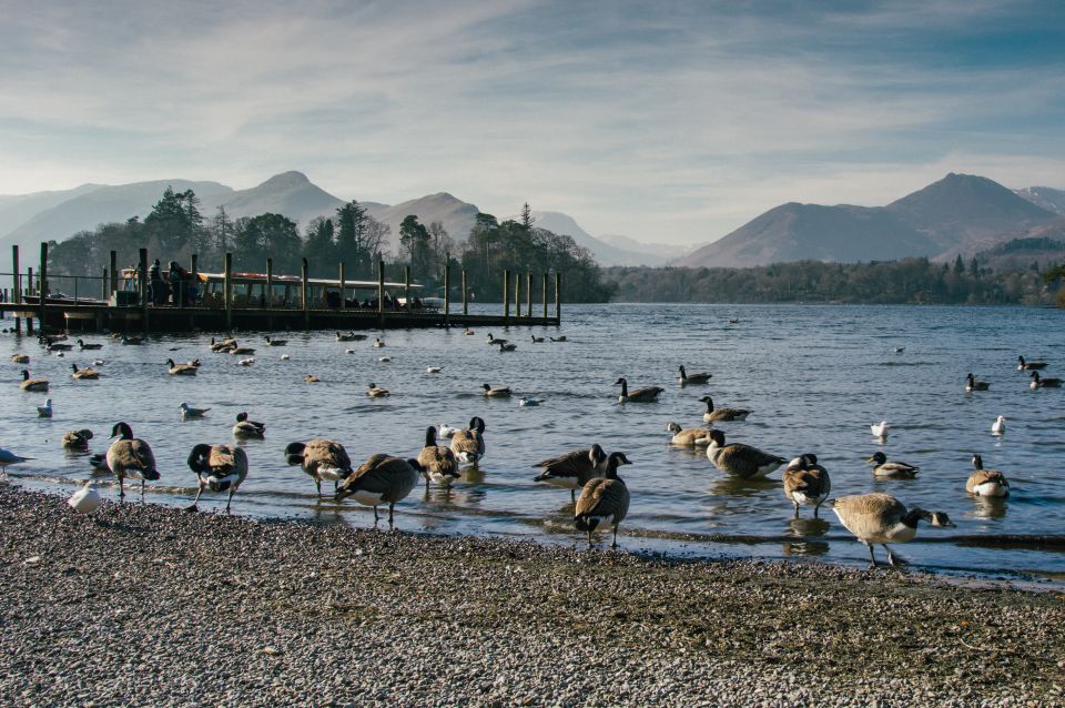 From Manchester: Lake District Tour - Tour Overview