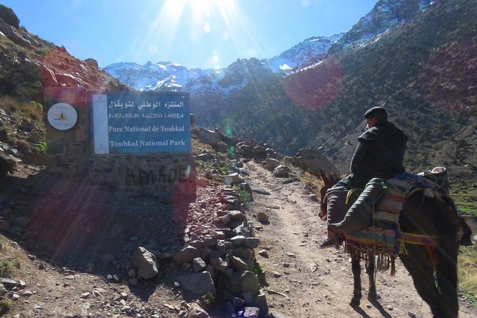 From Marrakech Hiking Day Trip In Imlil Valley And Kasbah Toubkal Inclusions