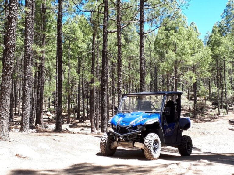 From Maspalomas: Volcanic Landscapes 4 Seater Buggy Tour Tour Overview