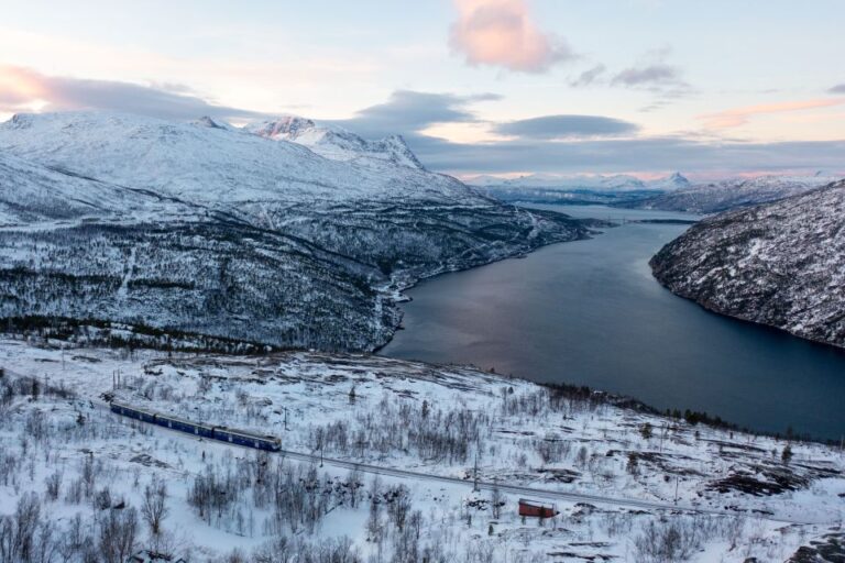 From Narvik: Round Trip Arctic Train Ride On Ofoten Railway Experience Overview