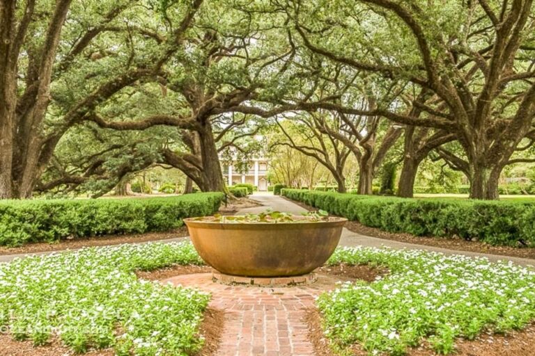 From New Orleans: Oak Alley Plantation Tour Tour Overview