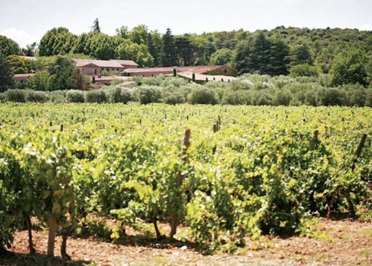 From Nice: Private Provence Wine Tasting Experience Activity Details