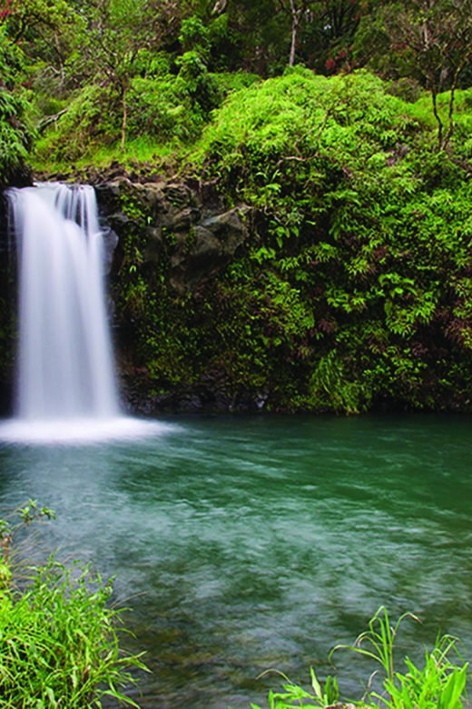 From Oahu: Maui Road To Hana Sightseeing Tour Overview Of The Tour