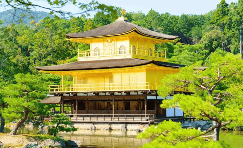 From Osaka: Kyoto Full Day Customized Private Tour - Experience Highlights