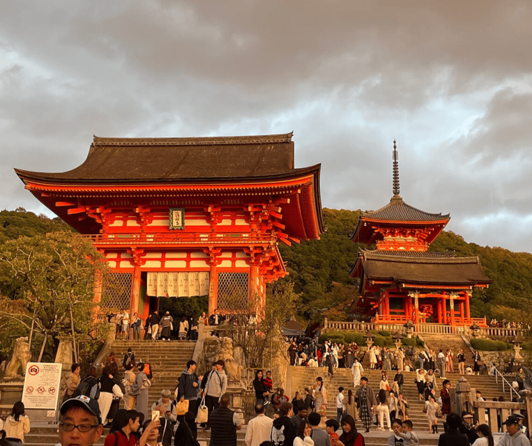 From Osaka or Kyoto : Kyoto & Nara Private Tour - Inclusions and Exclusions