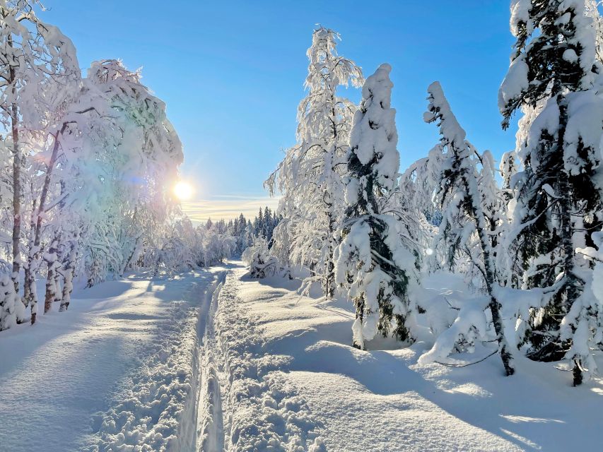 From Oslo: Oslomarka Forest Guided Snowshoeing Tour - Itinerary and Meeting Point