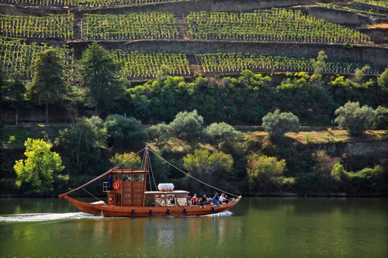 From Peso Da Regua: Douro Valley Tour Tour Highlights