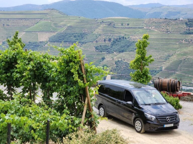 From Peso Da Régua: Visit 3 Wineries, Tasting And Viewpoint Tour Duration And Availability