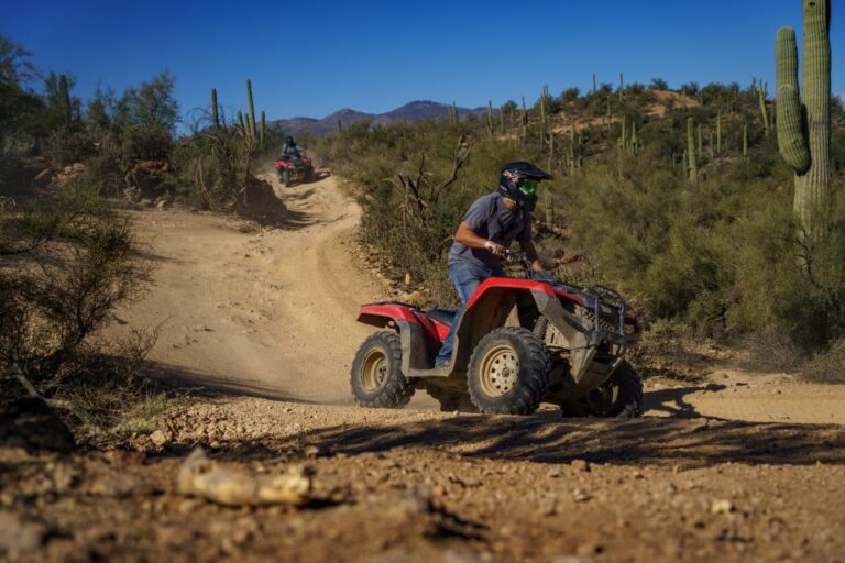 From Phoenix: Sonoran Desert Guided Atv Training Activity Overview