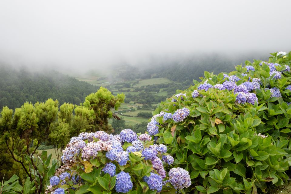 From Ponta Delgada: Vista Do Rei to Sete Cidades Guided Trek - Activity Overview