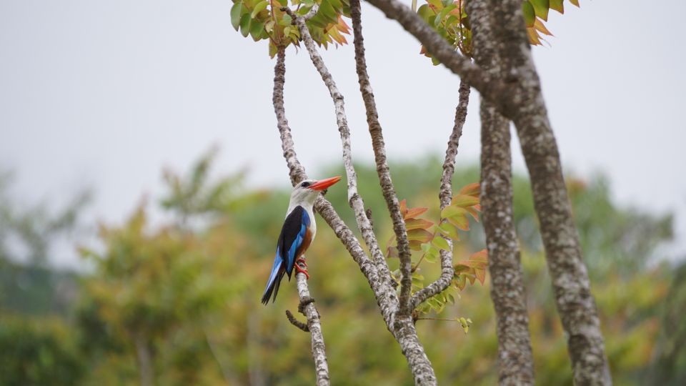 From Ponta Do Sol: Full-Day Nature Hike With a Guide - Tour Highlights