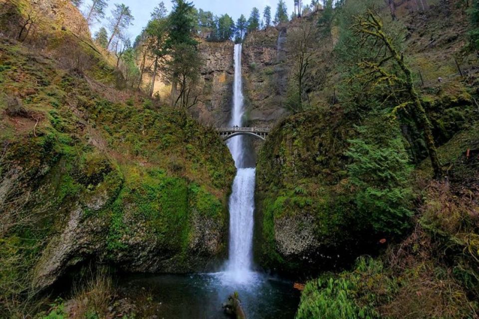 From Portland: Half Day Columbia River Gorge Waterfalls Tour - Tour Overview