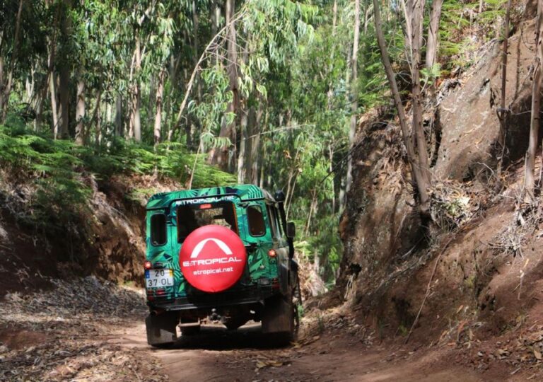 From Porto Moniz: Fanal 4x4 Tour Tour Overview And Details