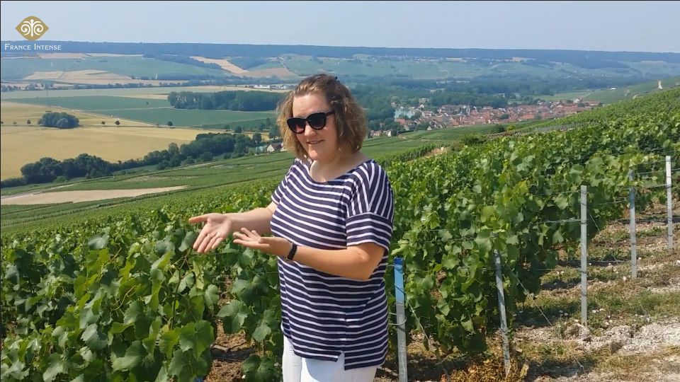 From Reims: Champagne Day Trip to Two Local Domains & Lunch - Tour Overview