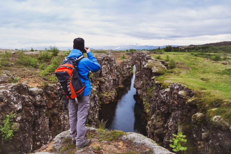 From Reykjavik: Golden Circle And Whale Watching Tour Tour Details