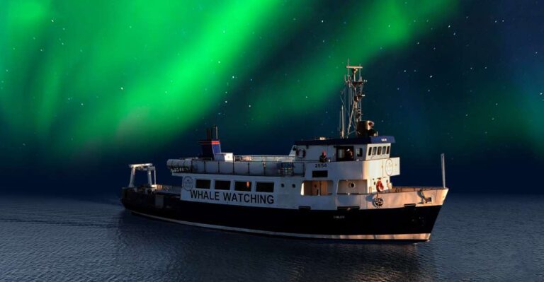 From Reykjavik: Northern Lights Sightseeing Cruise Tour Overview