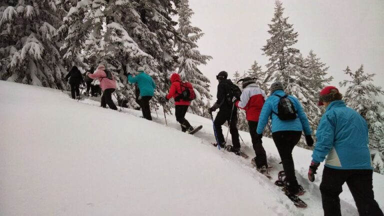 From Rovaniemi: Korouoma Frozen Waterfalls Small Group Hike Activity Overview