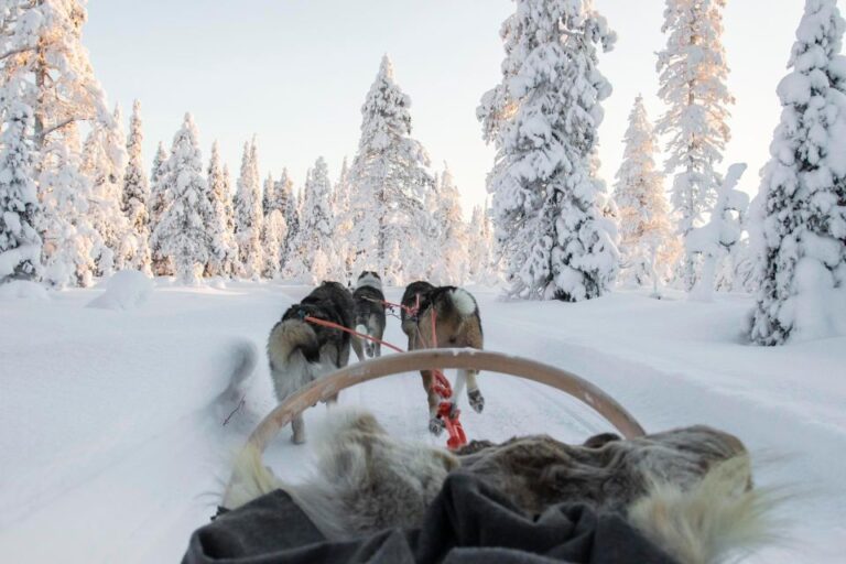 From Rovaniemi: Lapland Reindeer And Husky Sled Safari General Information