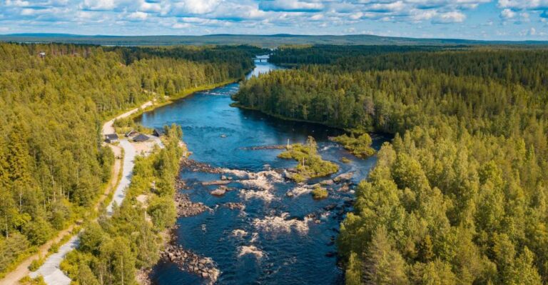 From Rovaniemi: Vikaköngas Forest Hiking Tour With Bbq Tour Overview