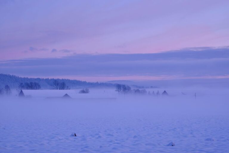 From Rovaniemi: Winter Wonderland Hike With A Hot Drink Tour Details